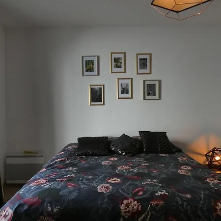 Le Royal P2 - Hyper Center - Terrace Apartment